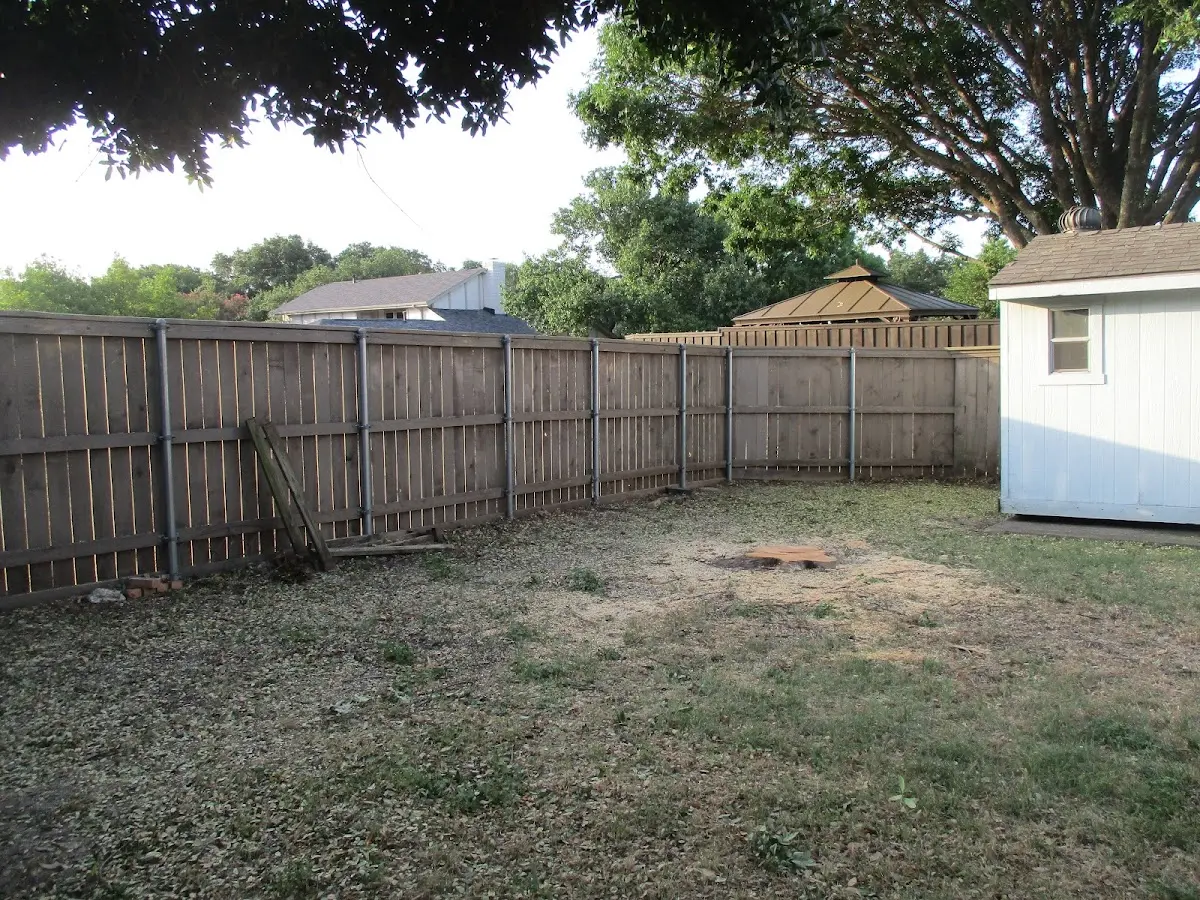 Cleared yard after professional tree removal in Arcadia
